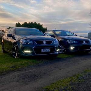 Meet your Posher, Bailey